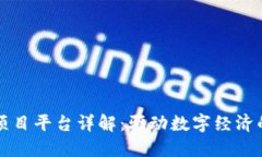 区块链项目平台详解：驱动数字经济的新时代