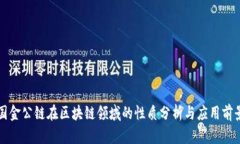 国金公链在区块链领域的性质分析与应用前景