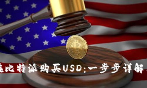 如何在比特派购买USD:一步步详解与技巧