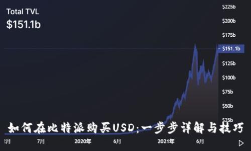 如何在比特派购买USD:一步步详解与技巧