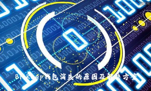 BitKeep钱包消失的原因及解决方案