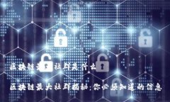 区块链最大社群是什么区块链最大社群揭秘：你