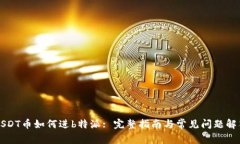 USDT币如何进b特派: 完整指南与常见问题解答