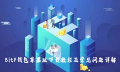 BitP钱包苹果版下载教程及常见问题详解