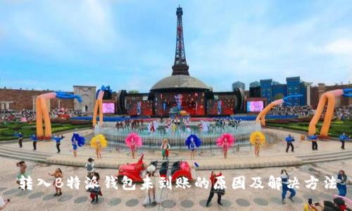 转入B特派钱包未到账的原因及解决方法