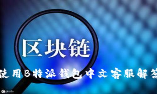 如何有效使用B特派钱包中文客服解答您的疑问