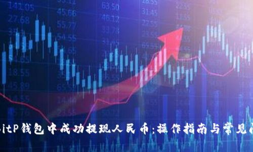如何在BitP钱包中成功提现人民币:操作指南与常见问题解答