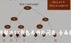 如何解决BK钱包无网络问题：全面指南