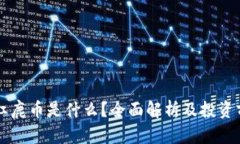 区块链红鹿币是什么？全面解析及投资前景分析