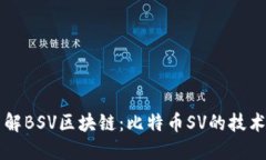 深入了解BSV区块链：比特币SV的技术与应用