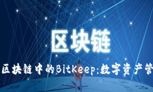 深入探讨区块链中的BitKeep:数字资产管理的未来