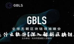 区块链政务网站是什么软件？深入解析区块链在