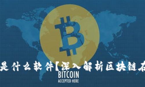 区块链政务网站是什么软件?深入解析区块链在政务领域的应用