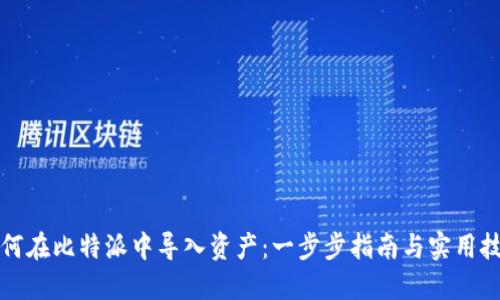 如何在比特派中导入资产:一步步指南与实用技巧