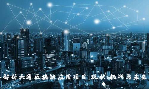 深入解析大通区块链应用项目:现状、挑战与未来发展