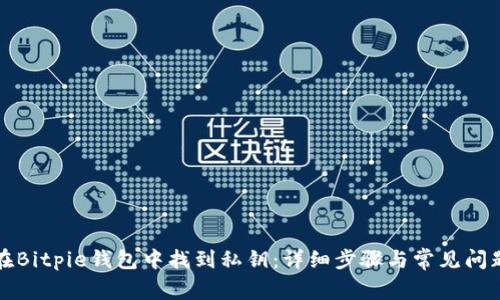 如何在Bitpie钱包中找到私钥:详细步骤与常见问题解答