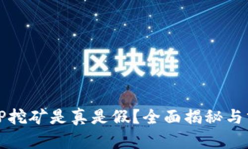 BitP挖矿是真是假?全面揭秘与分析