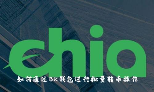 如何通过BK钱包进行批量转币操作