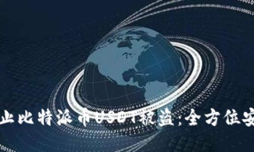如何防止比特派币USDT被盗：全方位安全指南