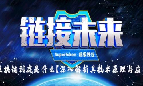 辛巴区块链到底是什么?深入解析其技术原理与应用前景