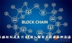辛巴区块链到底是什么？深入解析其技术原理与