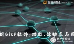 深入解析BitP软件：功能、优缺点与用户体验