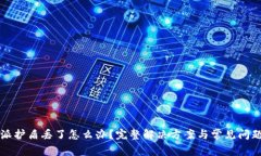 比特派护盾丢了怎么办？完整解决方案与常见问