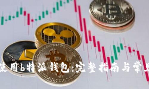如何安全使用b特派钱包:完整指南与常见问题解析