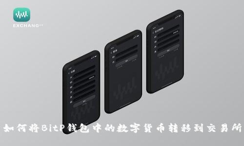 如何将BitP钱包中的数字货币转移到交易所