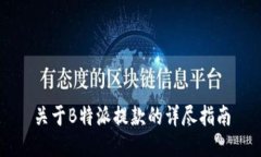 关于B特派提款的详尽指南