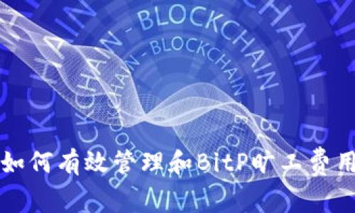 如何有效管理和BitP旷工费用