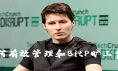 如何有效管理和BitP旷工费用