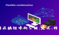 深入理解区块链中的公链：定义、特征及应用