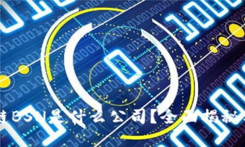 区块链BSN是什么公司?全面揭秘与应用