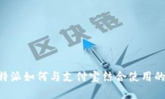 深入解析B特派如何与支付宝结合使用的全方位指