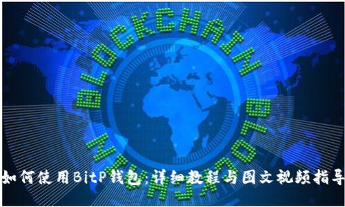 如何使用BitP钱包:详细教程与图文视频指导