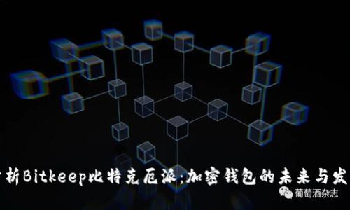 深入分析Bitkeep比特克厄派:加密钱包的未来与发展前景