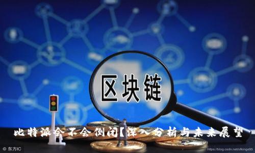 比特派会不会倒闭?深入分析与未来展望