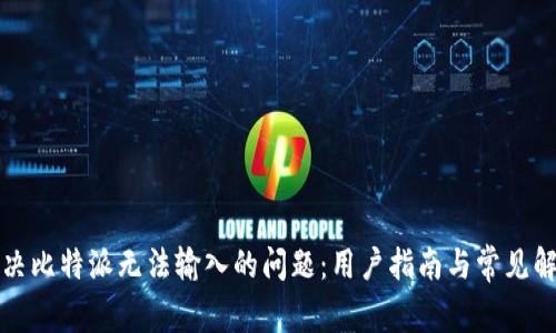 如何解决比特派无法输入的问题:用户指南与常见解决方案