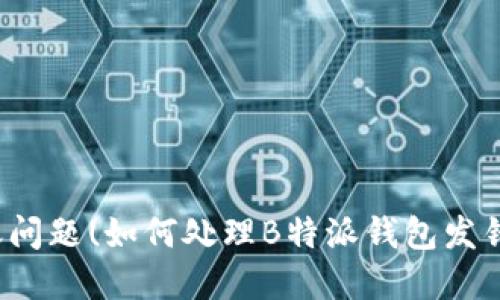 个人银行转账问题(如何处理B特派钱包发错款项的情况?