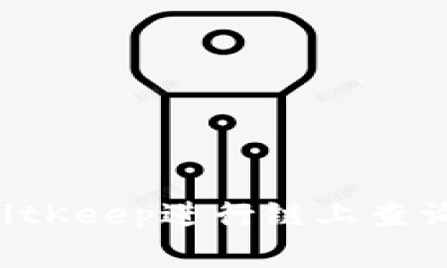 如何使用BitKeep进行链上查询:完整指南