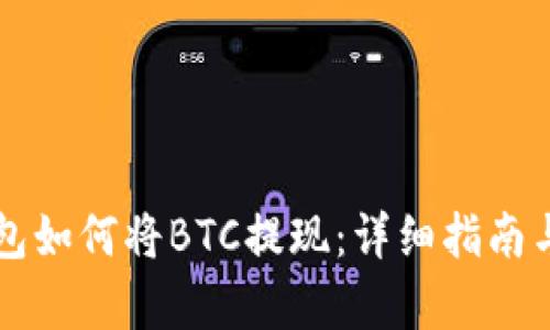 比特派钱包如何将BTC提现：详细指南与步骤解析