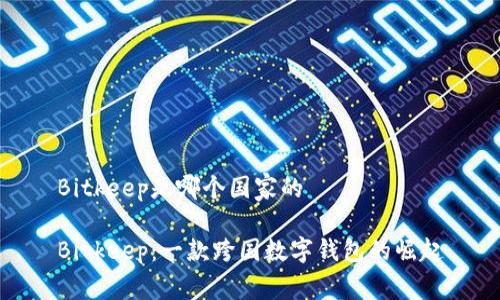 Bitkeep是哪个国家的

Bitkeep：一款跨国数字钱包的崛起