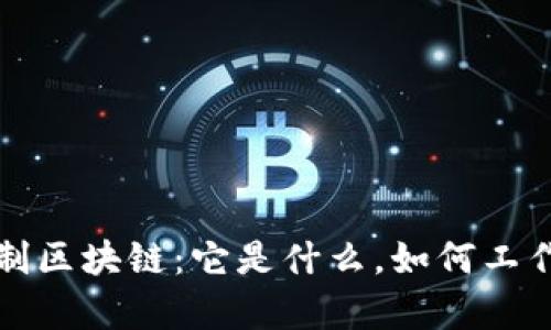 深入探讨二进制区块链：它是什么，如何工作及其应用前景