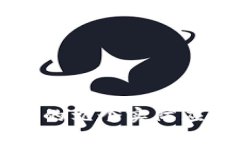 区块链技术的九个实际应用案例分析