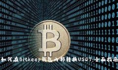如何在Bitkeep钱包内部转换USDT：全面指南