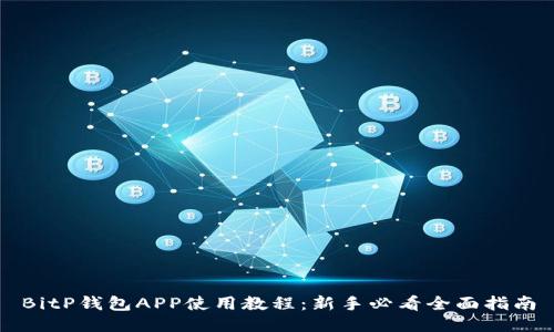 BitP钱包APP使用教程：新手必看全面指南