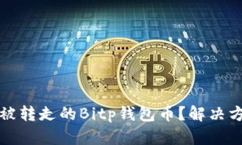 如何找回被转走的Bitp钱包币？解决方案与技巧