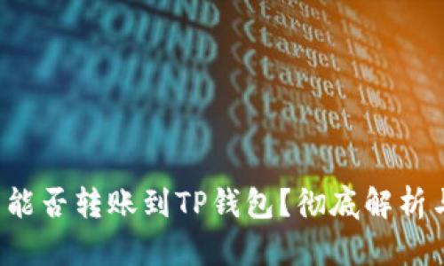 b特派钱包能否转账到TP钱包？彻底解析与操作指南
