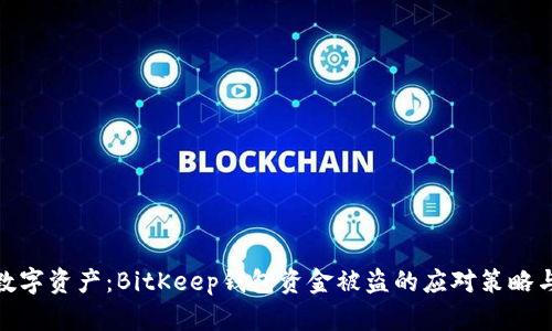保护您的数字资产：BitKeep钱包资金被盗的应对策略与防范措施
